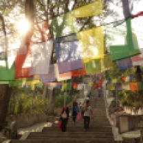 Direction Swayambunath ! Le temps des singes ! Avec l'important stūpa de Bodnath à l'est, est un des plus anciens et le plus saint des sites bouddhistes de Katmandou. Il est situé sur une colline à l'ouest de Katmandou surplombant la ville
